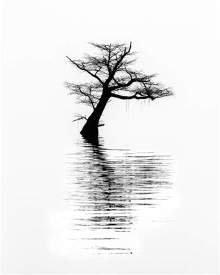 Quietude: An Ode to Solitude Through Lens and Light - Immersive Portraits of Stillness Captured in Timeless Black and White