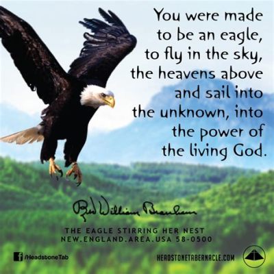  Eagles Dare To Fly: An Ode to Courage and Resilience