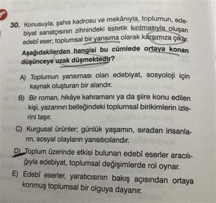  Karşılaşmalar,  Bir Türk Edebiyat Üstadının İç Yansıtmaları ve Toplumsal Portreler